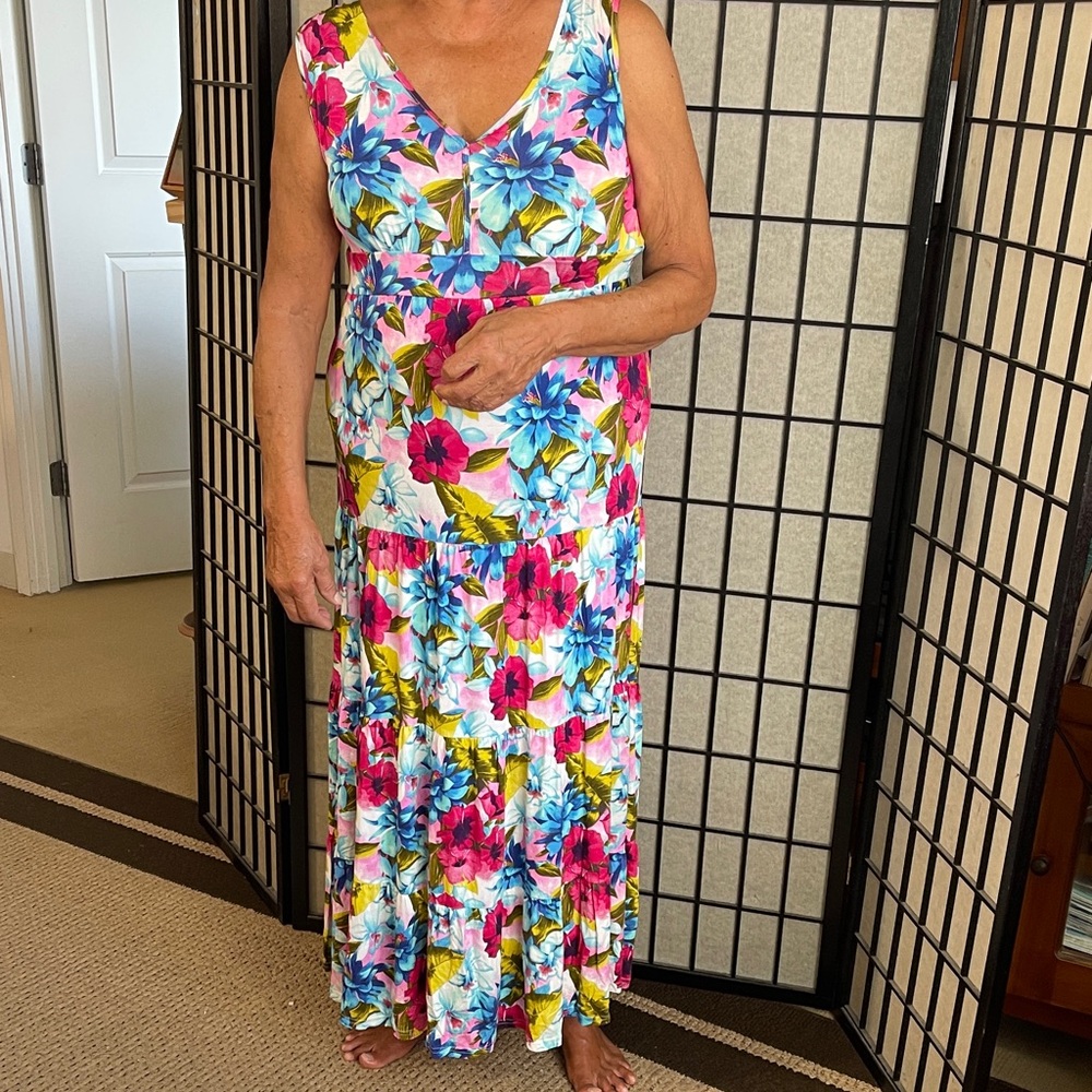 Garnet Hill Floral Sleeveless Maxi Dress